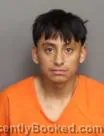 Mugshot of JESUS DELEON MATEO