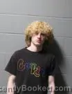 Mugshot of ASHTON ROBERT BRANDENBURG