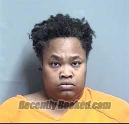 Booking photo from Dallas County, Iowa