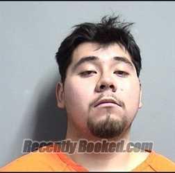 Booking photo from Dallas County, Iowa