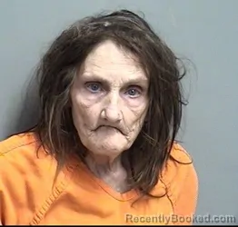 Mugshot of SUSAN MARIE DOLE