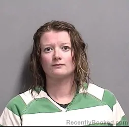 Booking photo from Dallas County, Iowa
