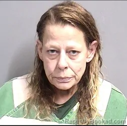 Mugshot of SUSAN MICHELLE FLORES