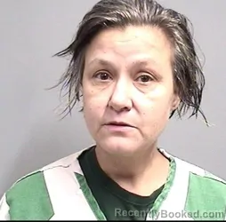 Mugshot of ANNE ELIZABETH UPDEGRAFF