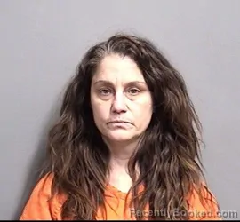 Mugshot of TERRA MARIE ANDERSON