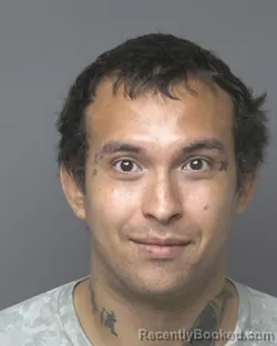 Mugshot of ANDREW MICHAEL HOGAN