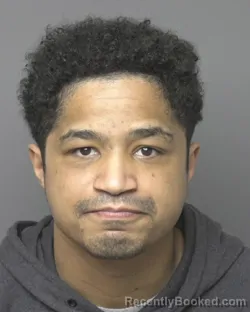 Mugshot of ANTHONY LECARL KALLOWAY