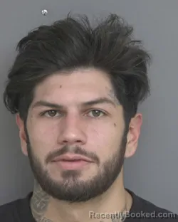 Mugshot of FRANCISCO ALEXANDER BRACAMONTE