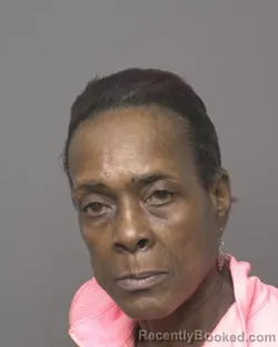 Mugshot of THERESA ANN COLE