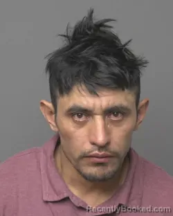 Mugshot of MARLON &nbsp; RIVERA-FLORES