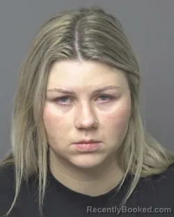 Mugshot of AMANDA LEE WILLIAMS