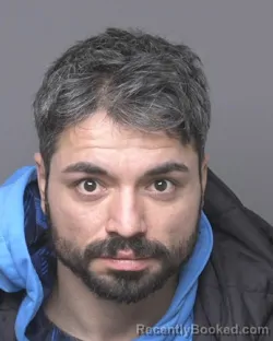 Mugshot of DILLON LEE DOHANICH