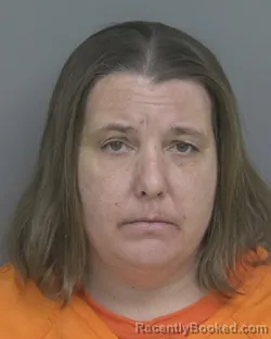 Mugshot of MANDA JO BRIMEYER